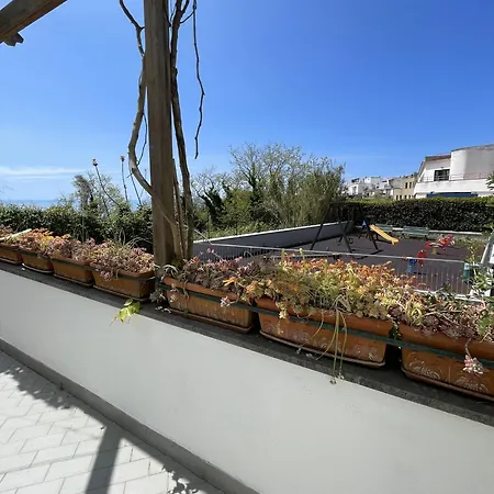 Ischia Casareccia Σπίτι διακοπών *